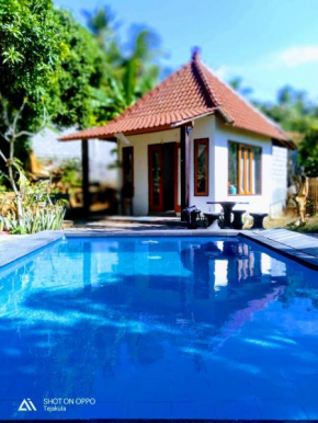 Holygreen Bali